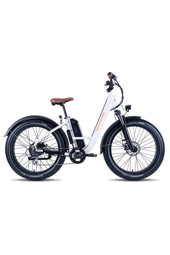 Rad Power Bike E Bike VanCave